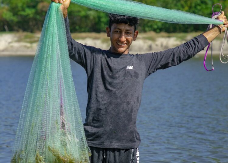 Cooperativa camaronera incrementa su productividad con apoyo del Programa Rural Adelante