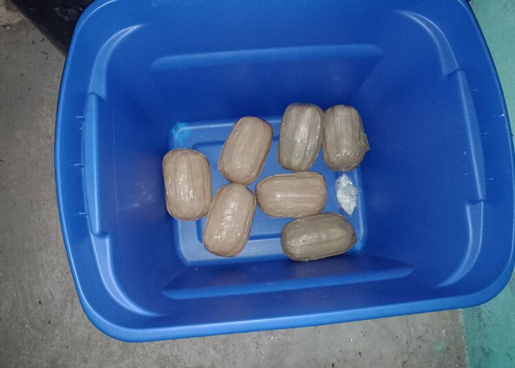 Incautan paquetes de drogas en comunidad Tutunichapa