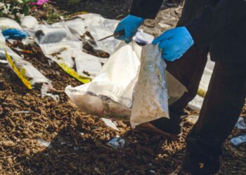 Realizan destrucción de droga valorada en más de $285 mil