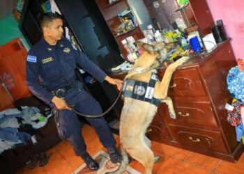 Continúa la operatividad policial y militar en el Cerco Tutunichapa y La Granjita 