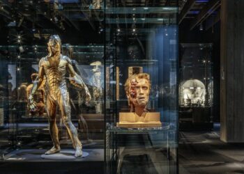 El Museo del Cine de la Academia de los Óscar ya es un éxito