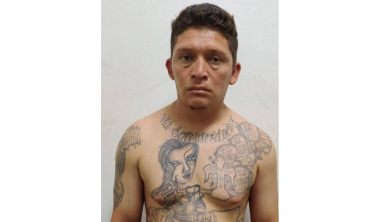 Capturan a pandillero salvadoreño en Honduras