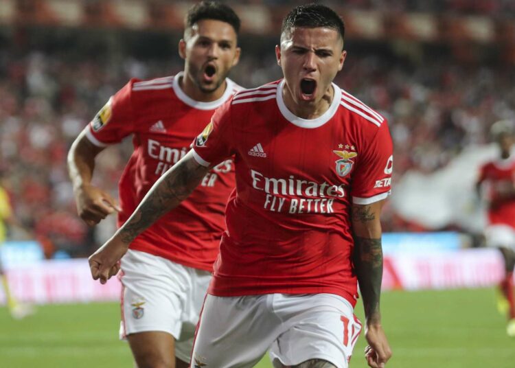 El Benfica logró la continuidad de Enzo Fernández ante la poderosa oferta del Chelsea