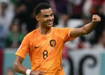 Confirmado Cody Gakpo como el reemplazo de Luis Díaz en el LIverpool