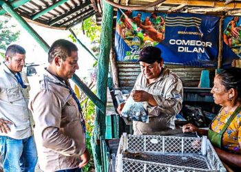 MARN verifica la no comercialización de huevos de tortuga en diferentes playas del país