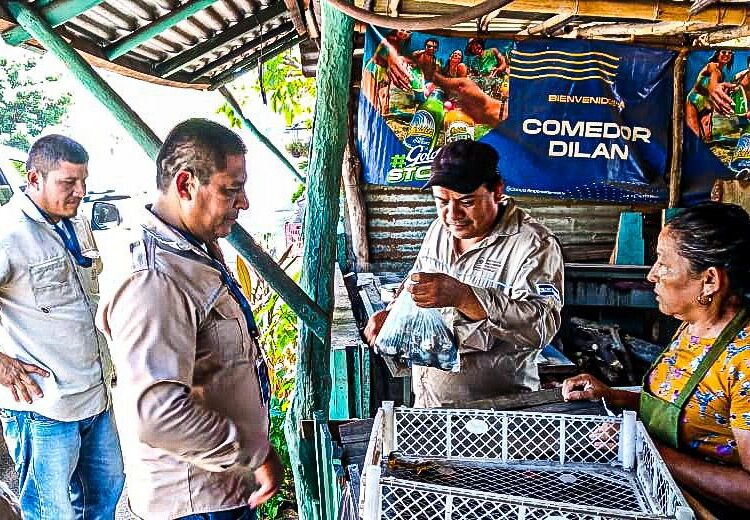 MARN verifica la no comercialización de huevos de tortuga en diferentes playas del país