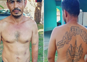 Detienen a pandillero que vigilaba movimientos policiales en San Vicente