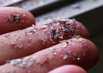 Detectan una ‘lluvia’ de plástico equivalente a unos 3 millones de botellas anuales