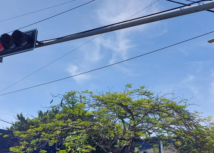 El primer lote de los nuevos semáforos inteligentes llegará al país antes que finalice este año