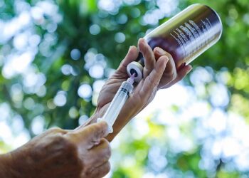 Más de 1,400 bovinos serán desparasitados por el MAG en tres municipios aledaños al Chaparrastique