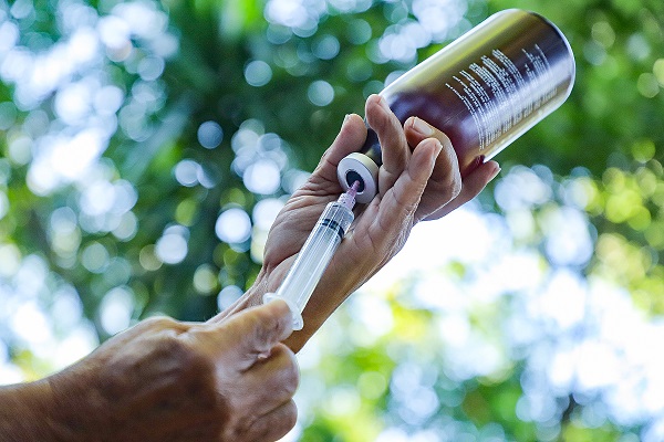 Más de 1,400 bovinos serán desparasitados por el MAG en tres municipios aledaños al Chaparrastique