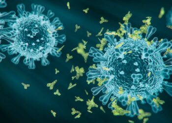 Las diferencias entre ‘Kraken’ y el resto de subvariantes de Ómicron que conocemos