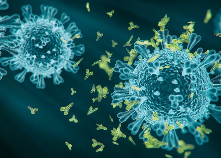 Las diferencias entre ‘Kraken’ y el resto de subvariantes de Ómicron que conocemos