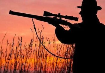 Perro dispara mortalmente a un cazador en EE.UU.