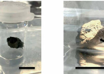 Encuentran indicios del origen de la vida en un raro meteorito que se estrelló en la Tierra