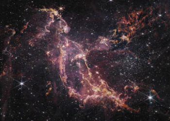 (VIDEO) El James Webb capta una increíble formación de estrellas jóvenes en la Pequeña Nube de Magallanes