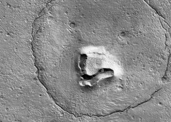Un ‘oso marciano’ mira directamente al orbitador de la NASA