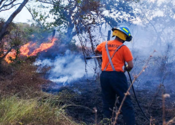 Bomberos reiteran el llamado a seguir recomendaciones para evitar incendios forestales 