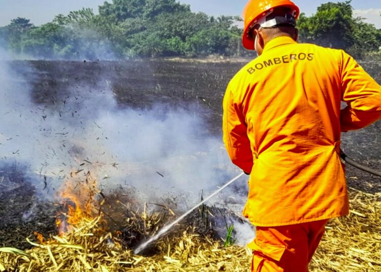 Sofocan incendio en cañal ubicado en caserío El Paraíso, Usulután