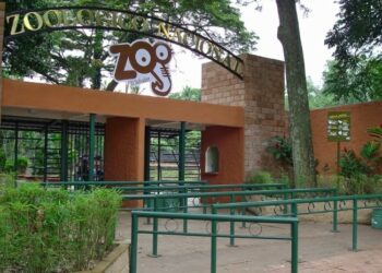 Zoológico nacional traslada animales hacia un hábitat certificado y con asistencia veterinaria