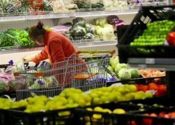 Precios mundiales de los alimentos subieron un 14,3% en 2022