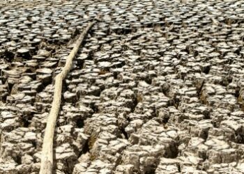 Chile decreta emergencia agrícola por sequía en Magallanes