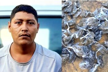 Alias «Paleta», es capturado con varias porciones de marihuana en La Libertad