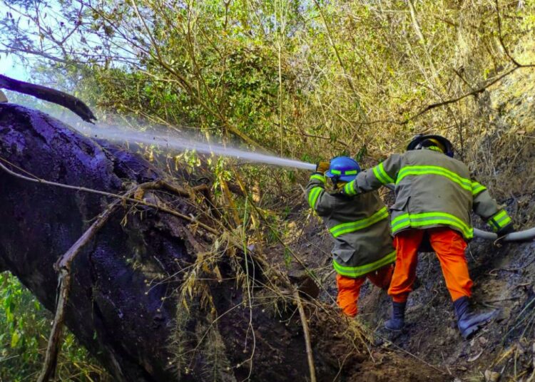 Bomberos extinguen diversos incendios en maleza seca en Cuscatlán, San Vicente y Morazán