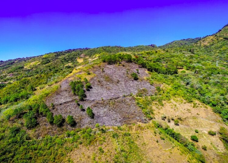 GALERÍA | 17 hectáreas fueron consumidas por incendio en el volcán de San Salvador, según Protección Civil