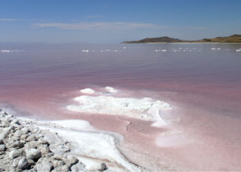 Advierten que el lago salino más grande de América del Norte puede desaparecer dentro de 5 años