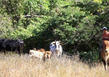 Jonathan Umaña, de ordeñar vacas a entrenar en Portugal