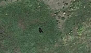 Google Earth capta un posible ‘pie grande» de 2,5 metros