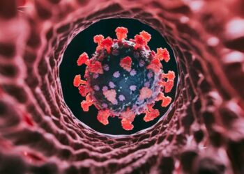 ‘El Kraken’: ¿Por qué la subvariante XBB.1.5 ha ‘pegado’ más en EEUU que a México?