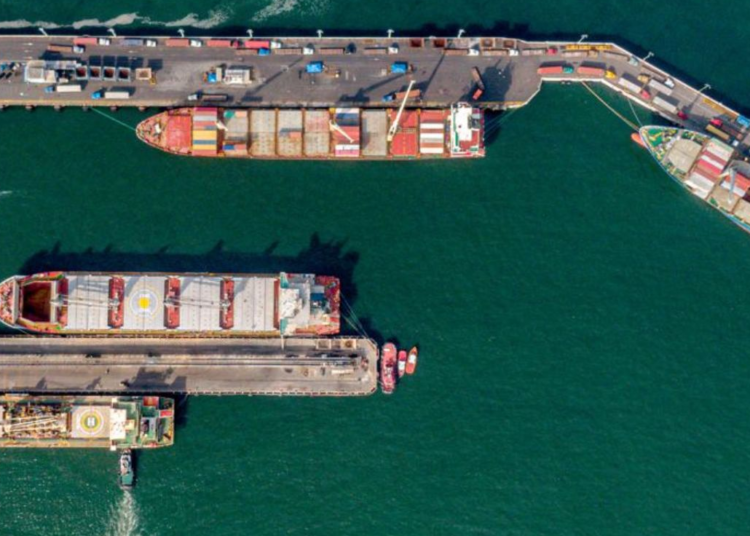 El Salvador inicia este año movilizando más de 91,450 toneladas métricas de carga en Puerto de Acajutla