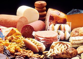 Cómo impacta en la salud del cerebro una dieta alta en grasas