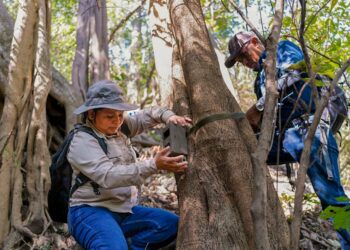 MARN instala cámaras trampa para monitorear especies en Áreas Naturales Protegidas de El Salvador