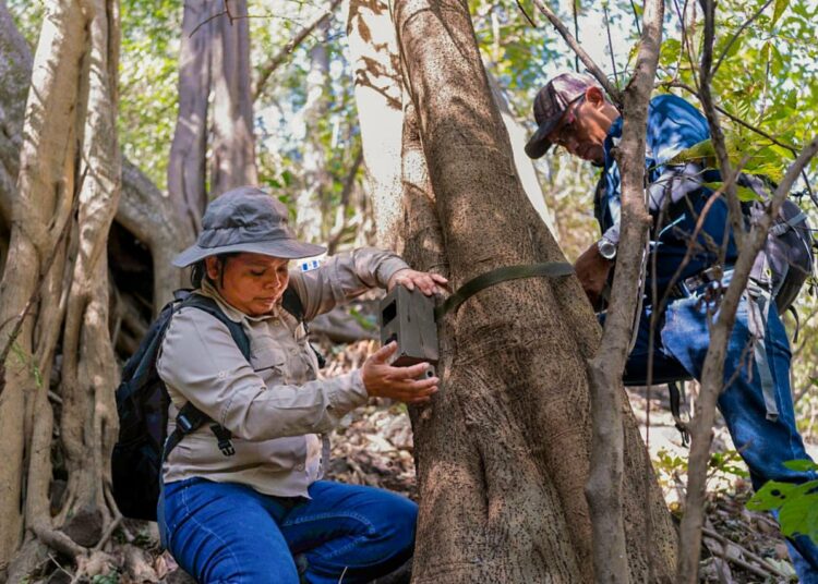 MARN instala cámaras trampa para monitorear especies en Áreas Naturales Protegidas de El Salvador