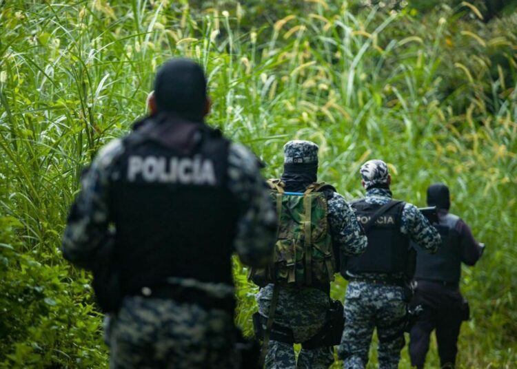 Enero suma 19 días sin homicidios a nivel nacional