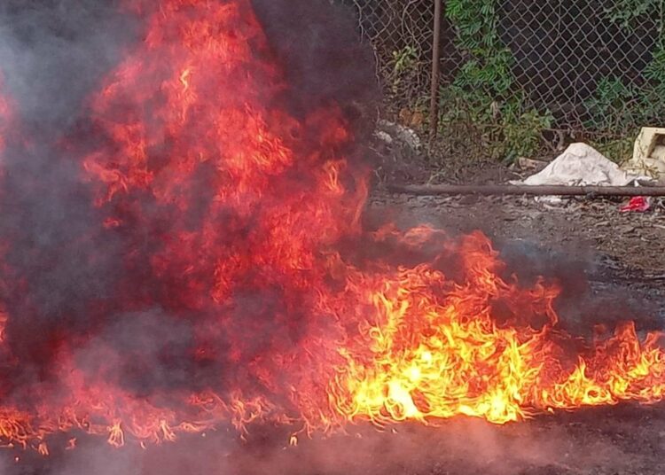 Autoridades destruyen droga incautada en diferentes operativos y valorada en más de $25,000