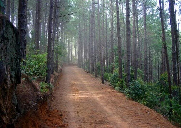 Temperatura en Chalatenango bajó hasta 2 grados centígrados