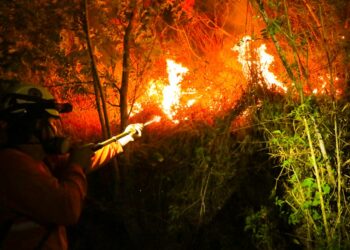 Autoridades brindan balance de las emergencias atendidas en las últimas horas