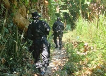 2022 fue el año más seguro en la historia de El Salvador, destaca presidente Bukele