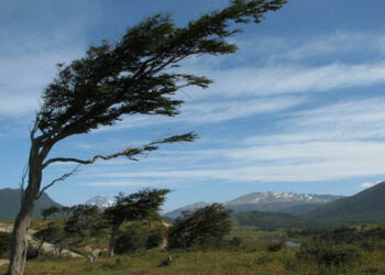 Gobierno se mantiene en alerta ante probables incendios debido a fuertes vientos