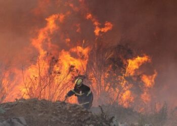 Llega a Chile ayuda internacional para combatir incendios