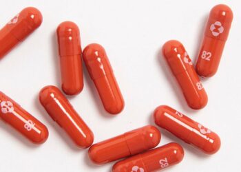 Relacionan el fármaco anticovid molnupiravir con nuevas mutaciones del virus