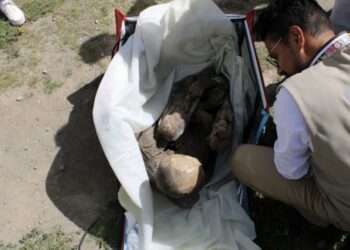 Hallan una momia prehispánica en la bolsa de un repartidor de comida en Perú