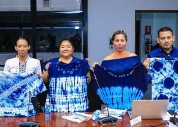 Comisión de Cultura propone declarar el 6 de septiembre como Día Nacional del Añil