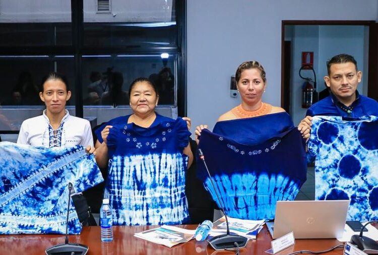 Comisión de Cultura propone declarar el 6 de septiembre como Día Nacional del Añil