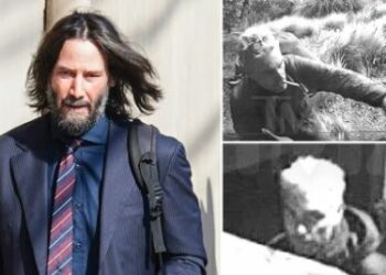 Keanu Reeves interpone orden de alejamiento contra acosador que dice ser familiar