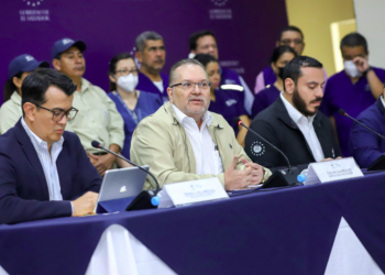 «No existe en El Salvador ningún caso de gripe o influenza aviar H5N1», ministro de Agricultura y Ganadería